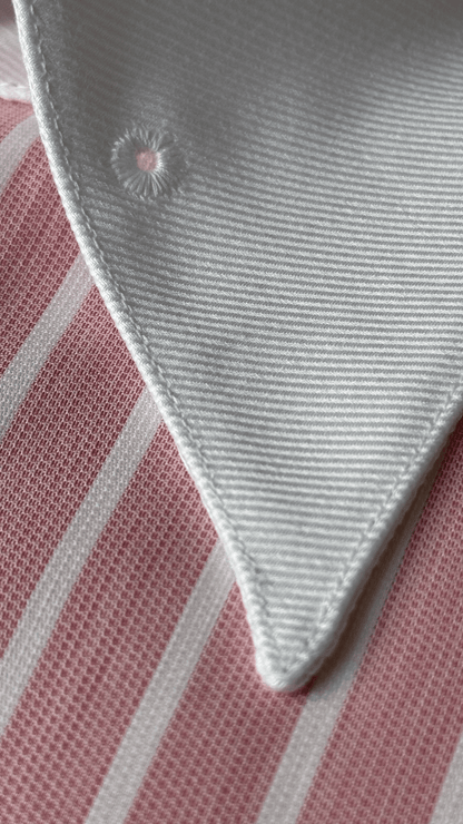 Chemise 100% coton - le col à épingle Winchester