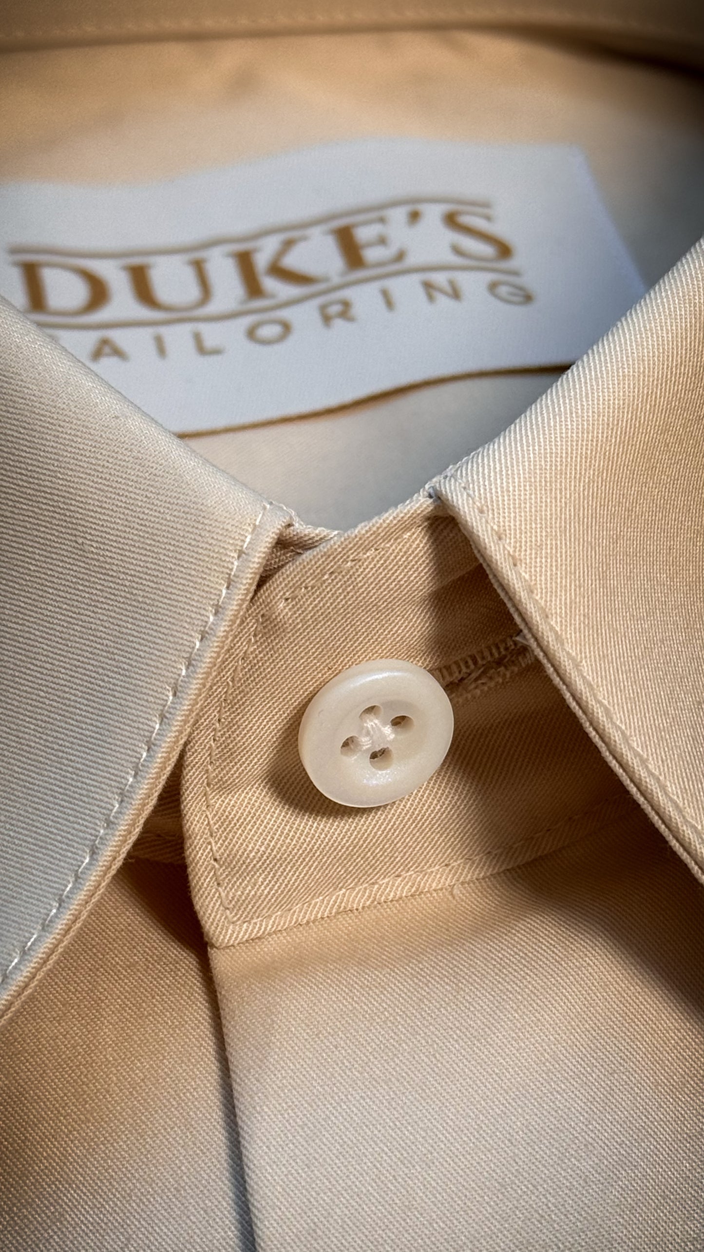 Chemise 100% coton - le col à épingle champagne