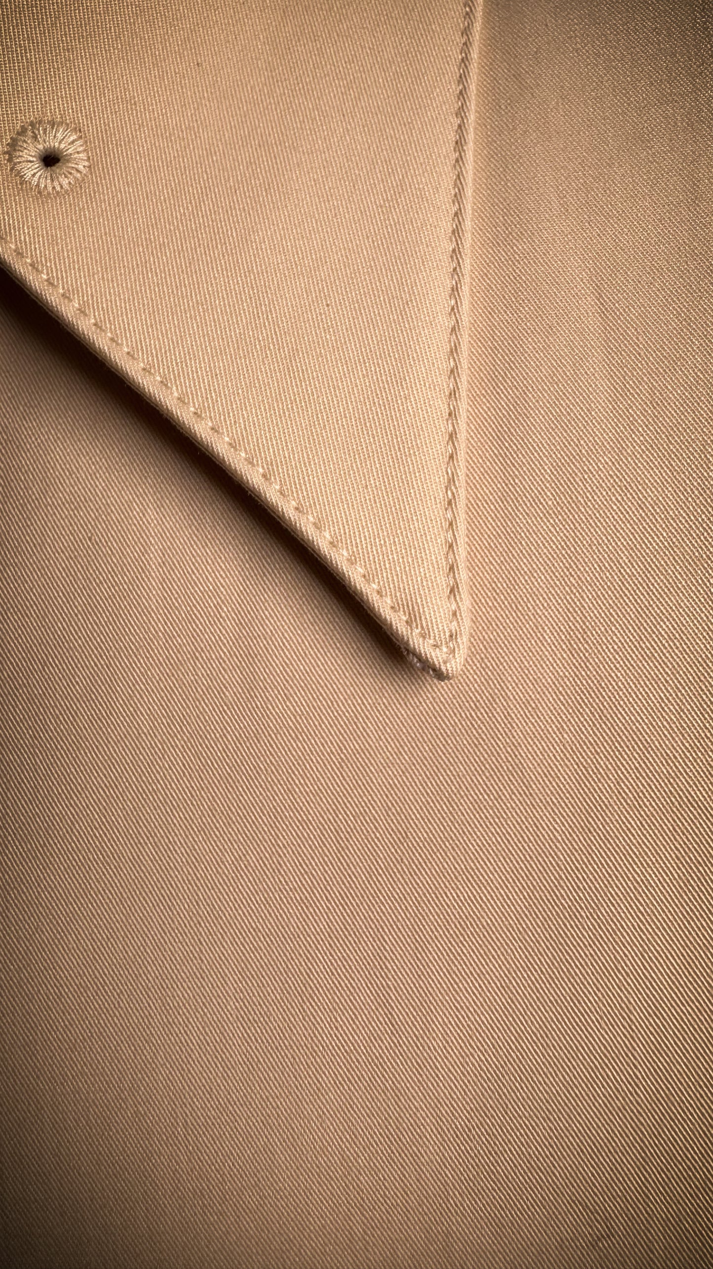 Chemise 100% coton - le col à épingle champagne
